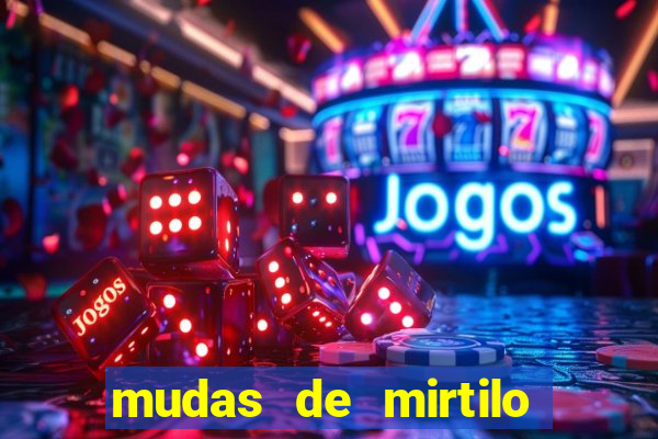 mudas de mirtilo em porto alegre